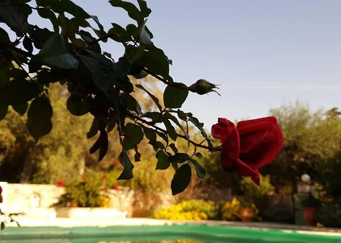 Livadi With Pool Ξενοδοχείο με διαμερίσματα